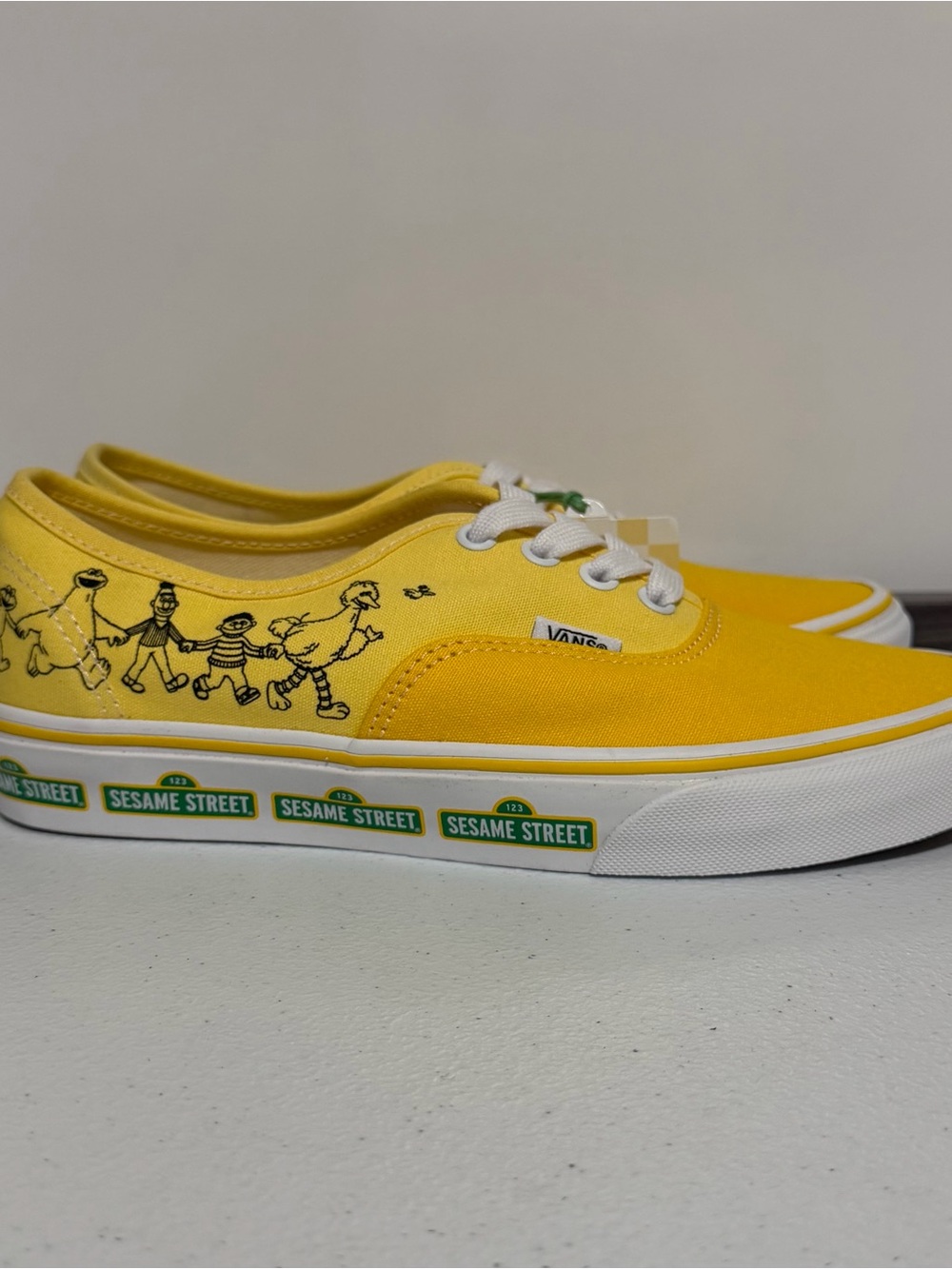 Vans Authentic x Sesame Street Canvas Sneakers-Size 6.5/7.5 New